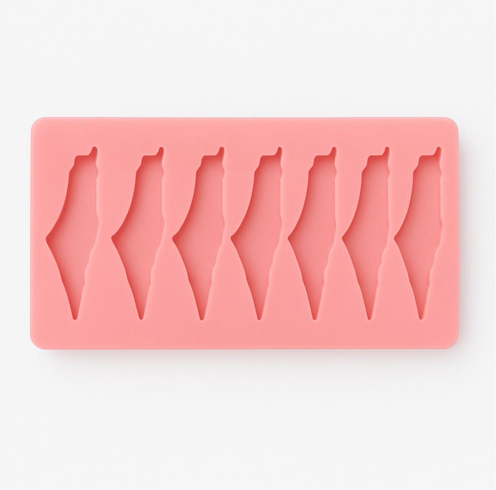 Woodberg - قالب سيليكون خارطة فلسطين حجم 5 سم للميداليات - 7 خانات